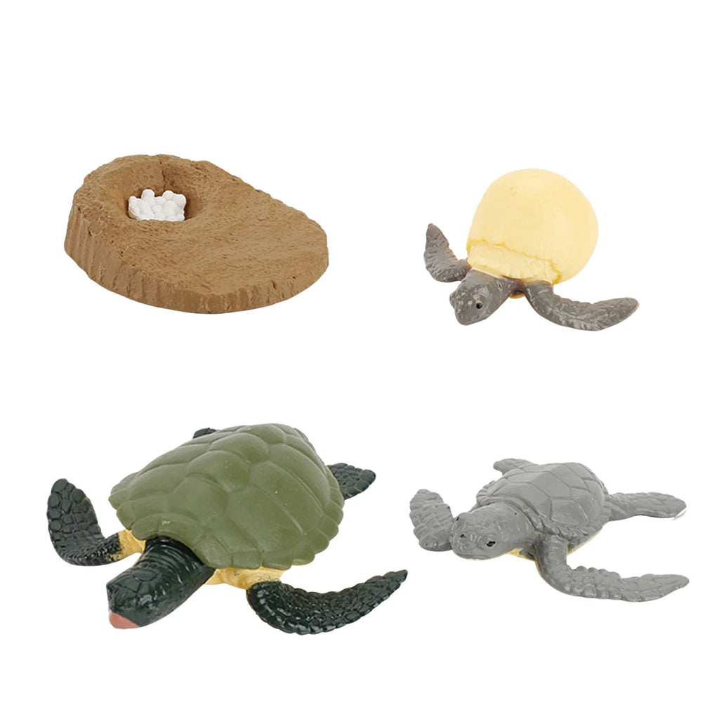 4 Piece Insect Animal Life Cycle Plastic Figures C6750