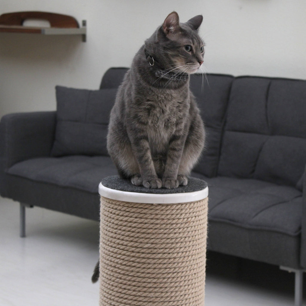 Oversized Jute Cat Scratcher and Perch, White M15580