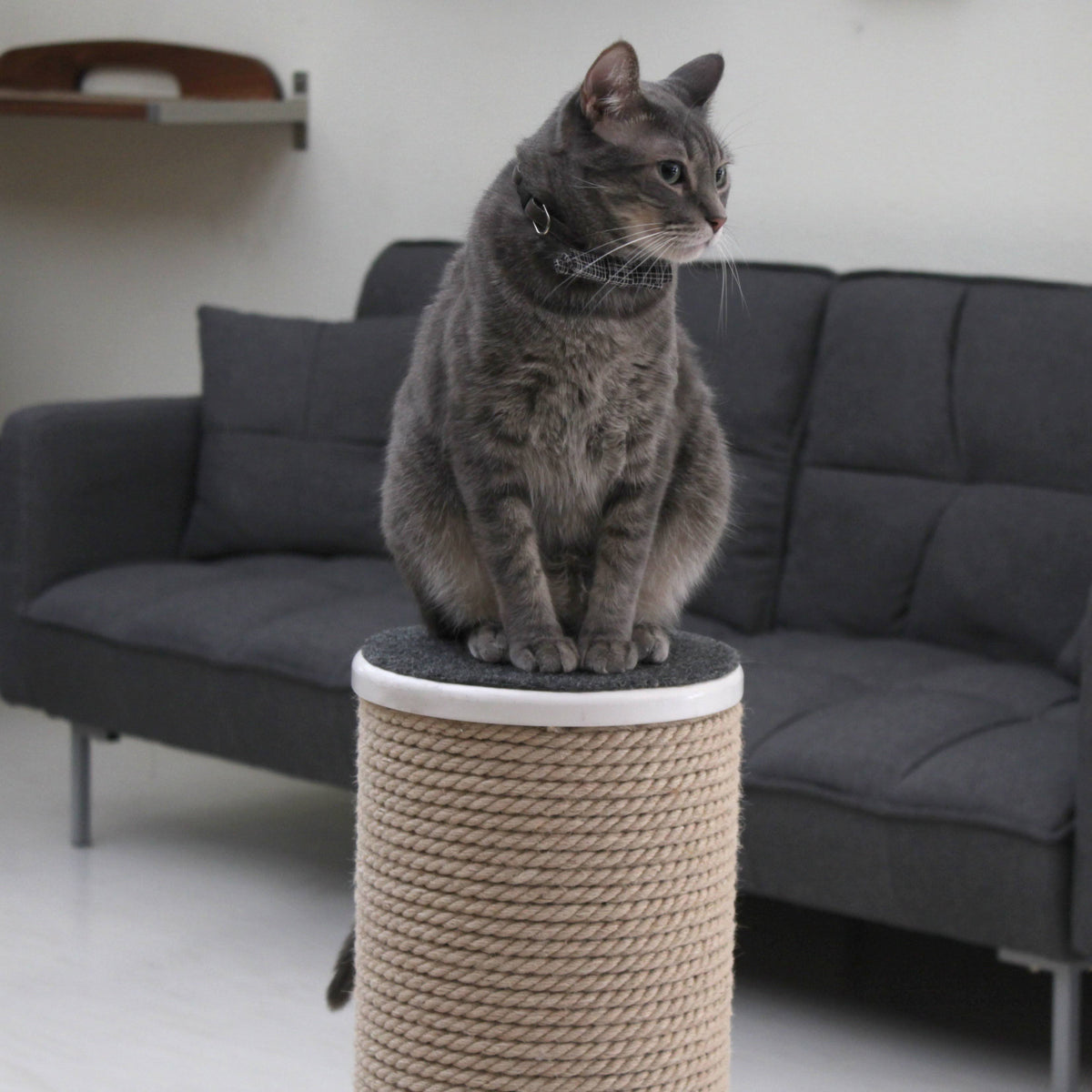 Oversized Jute Cat Scratcher and Perch, White M15580