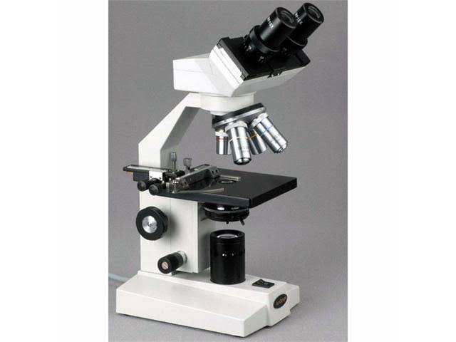 Black Binocular Biological Microscope G916346