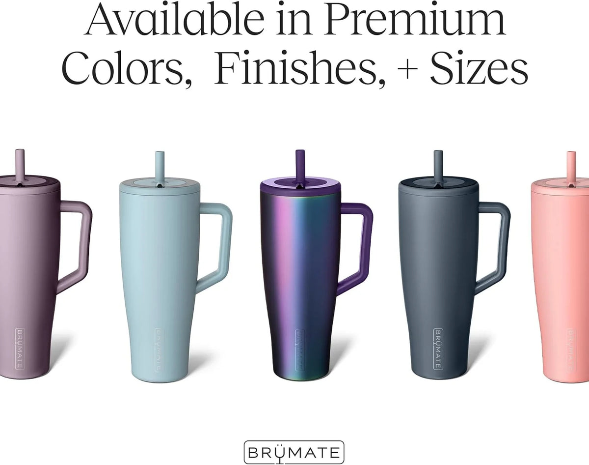 30 oz Stainless Steel Tumbler with Handle and Straw A290026