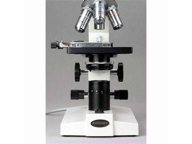 Black Binocular Biological Microscope G916346