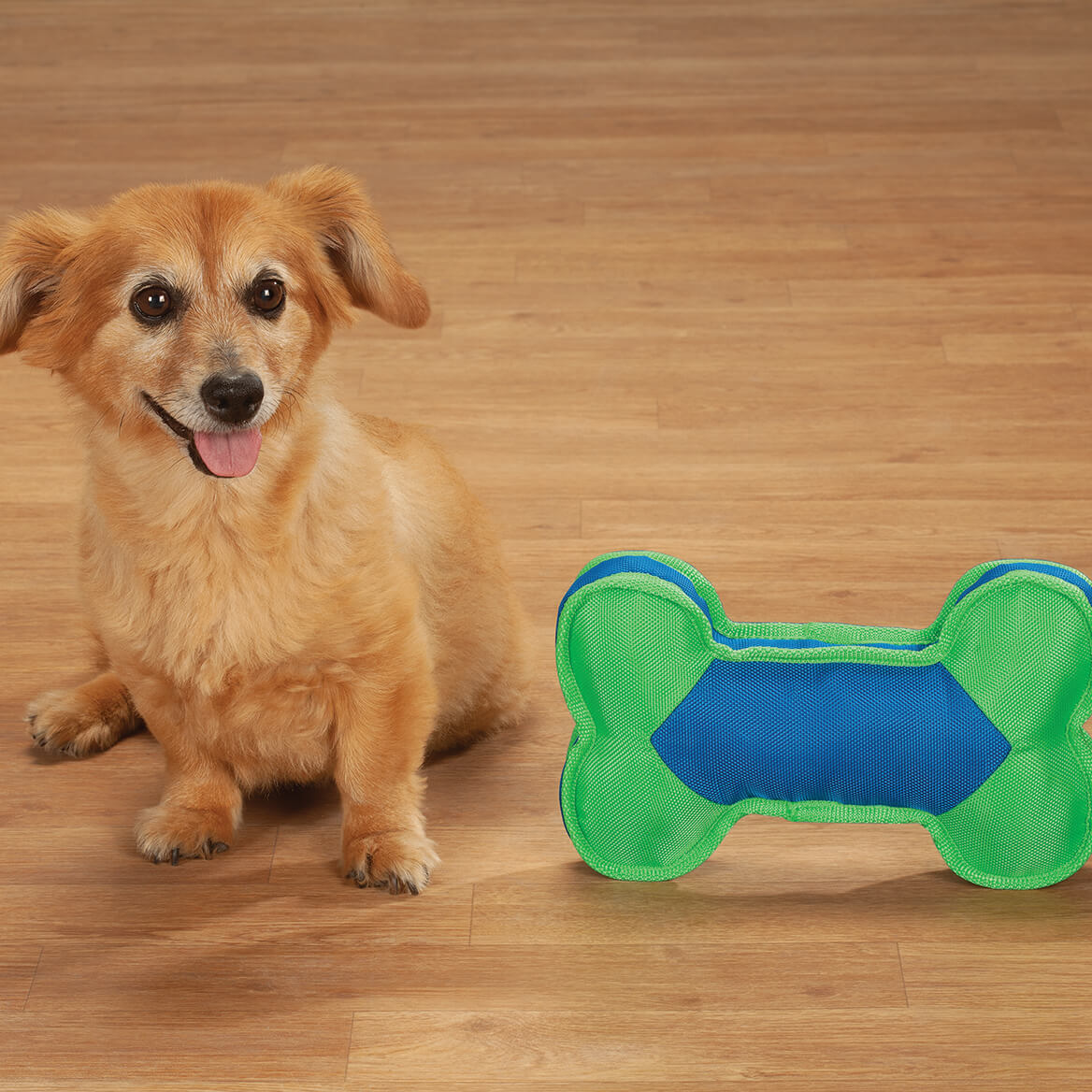 Squeaker Dog Bone S391