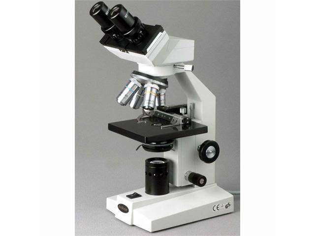 Black Binocular Biological Microscope G916346