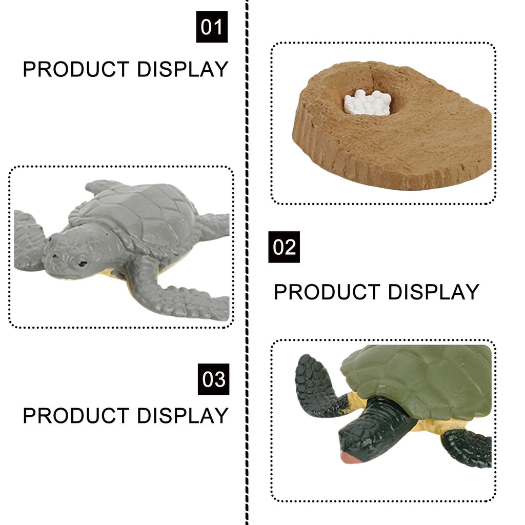 4 Piece Insect Animal Life Cycle Plastic Figures C6750
