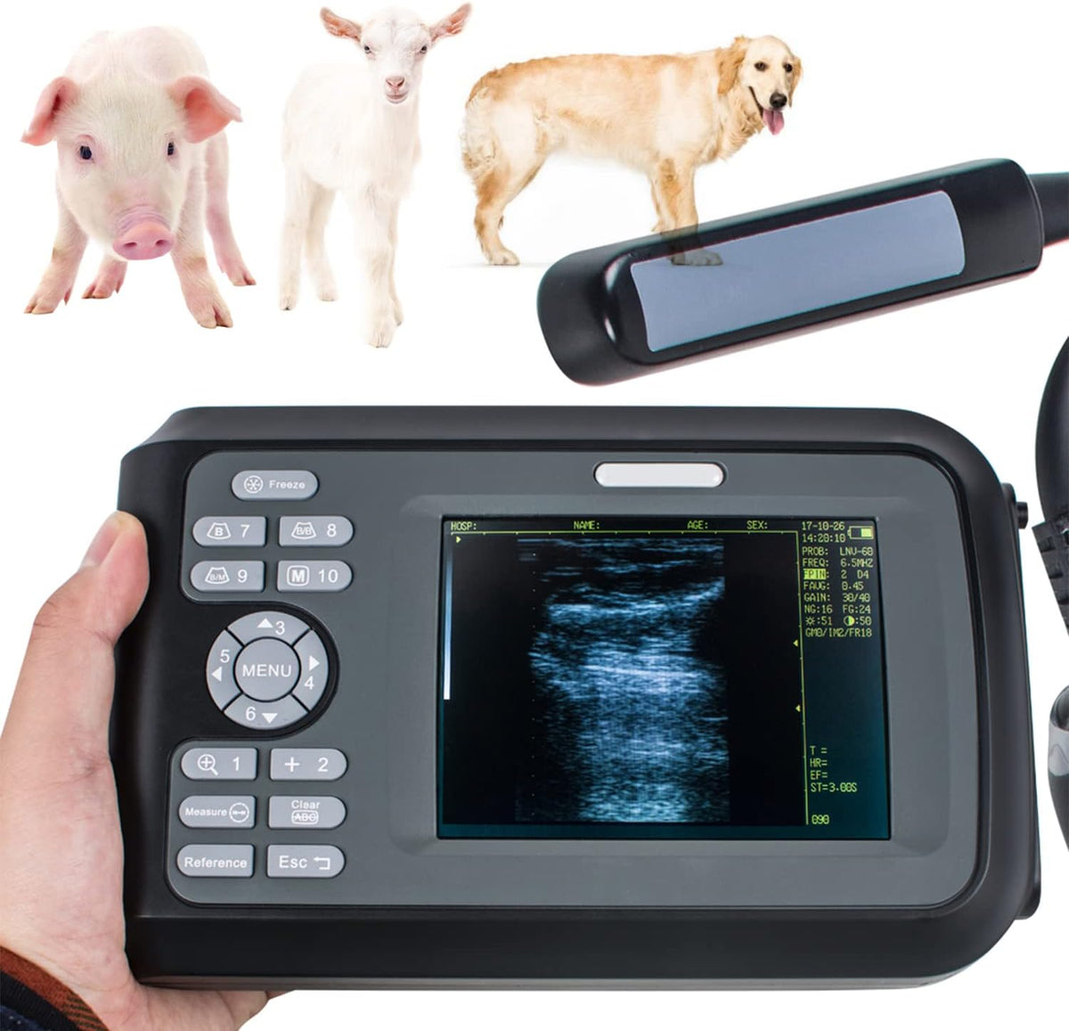 Veterinary Portable Ultrasound Scanner with 4.0MHz Rectal Convex Probe O947