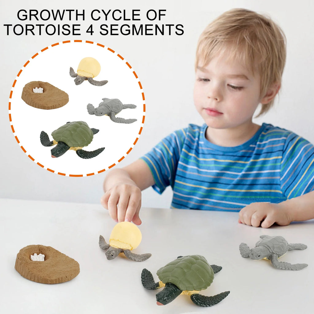 4 Piece Insect Animal Life Cycle Plastic Figures C6750