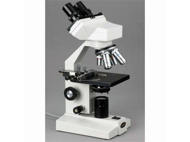 Black Binocular Biological Microscope G916346