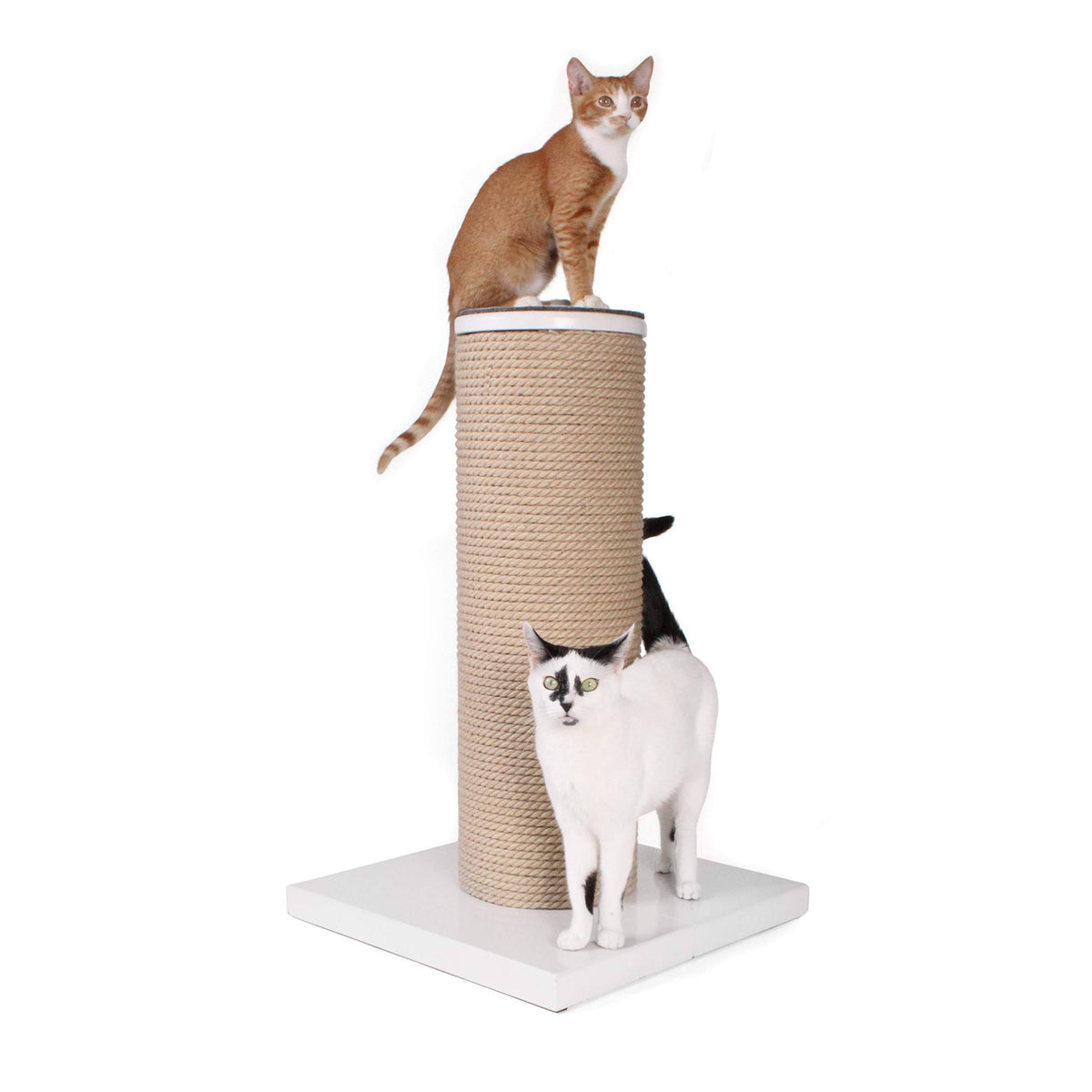 Oversized Jute Cat Scratcher and Perch, White M15580