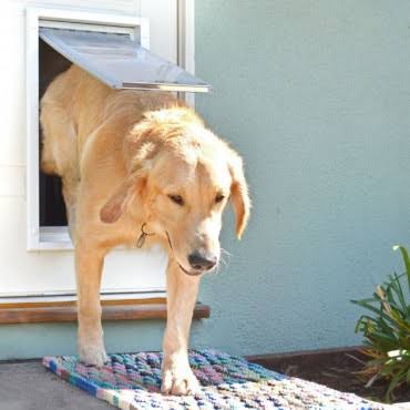 Tan Medium Single Flap Pet Door S852