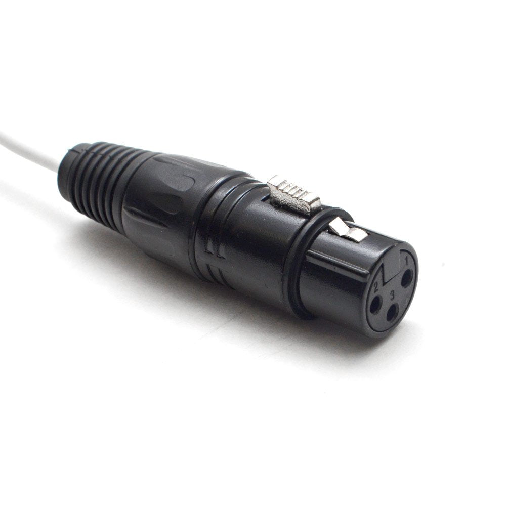 DB25 8 Channel XLR Female 5 Foot D-Sub Snake Cable W497