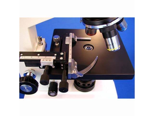 Black Binocular Biological Microscope G916346