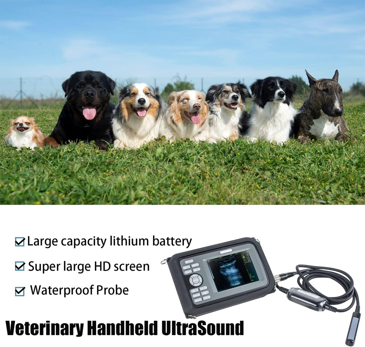 Veterinary Portable Ultrasound Scanner with 4.0MHz Rectal Convex Probe O947