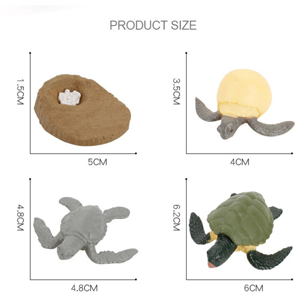 4 Piece Insect Animal Life Cycle Plastic Figures C6750
